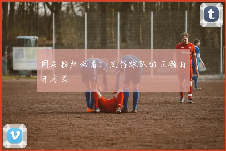 国足粉丝必看:支持球队的正确打开方式