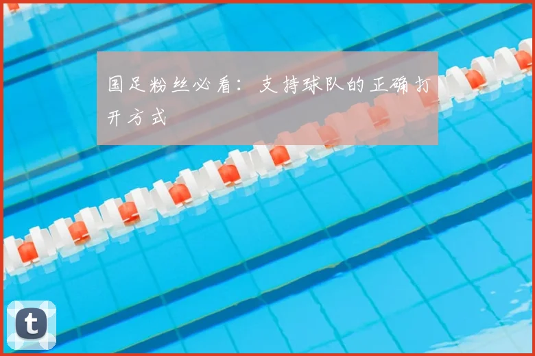 国足粉丝必看:支持球队的正确打开方式